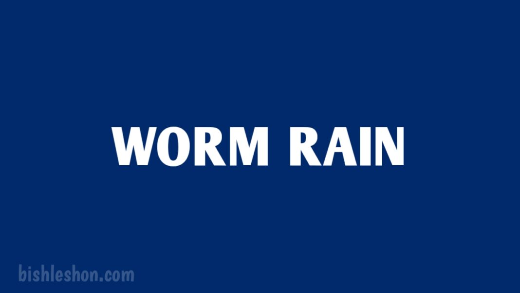 Worm rain, also known as animal rain or fish rain, is a rare phenomenon where small animals or creatures seem to fall from the sky during a rainstorm.